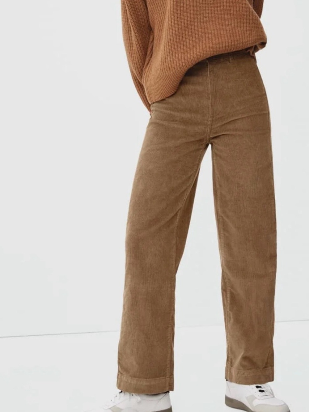 Everlane Corduroy Wide-Leg Pants in Camel Brown